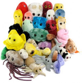 Herpes, swine flu, SARS... now in cuddly form!